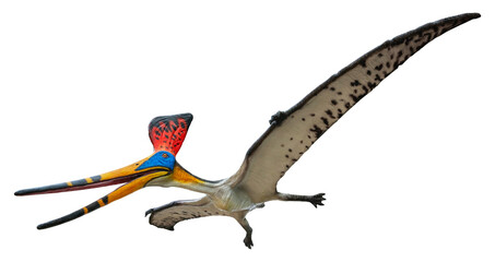Pteranodon Sternbergi is an extinct genus of pteranodontid pterodactyloid pterosaur from the Late Cretaceous geological period © Around Ball