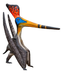 Pteranodon Sternbergi is an extinct genus of pteranodontid pterodactyloid pterosaur from the Late Cretaceous geological period © Around Ball