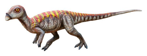 Leaellynasaura is a genus of small herbivorous ornithischian dinosaurs from the Albian stage of the Early Cretaceous