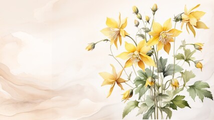 Watercolor clip art of Aquilegia, Columbine flowers, yellow color,  artistic floral composition on watercolor wash background. Lots of copy space