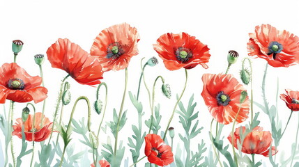 Vivid watercolor poppies with lush greenery, ideal for spring and botanical themes.