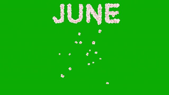 June text with cherry flowers on green screen background