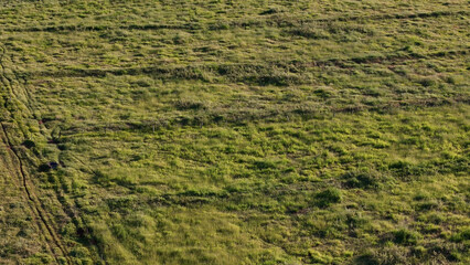 pasture area with contour lines in field