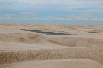 desert and oasis