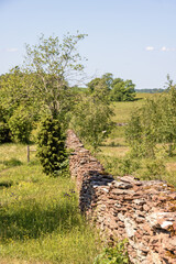 Long straight limestone slate stone wall on a meadow
