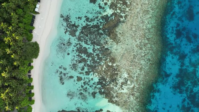 Top down aerial drone footage flying along the beach and clear shallow waters of the local island of Thinadhoo in the Maldives at sunrise.