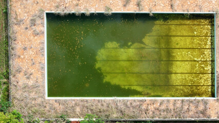 abandoned swimming pool with green dirty water