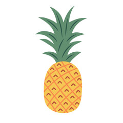 Pineapple with leaf. Tropical fruit. Vector illustration isolated on white background.