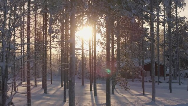 Drone revealing snowy forest in Oy Levi Ski Resort
at the golden hour in Kittila, Finland