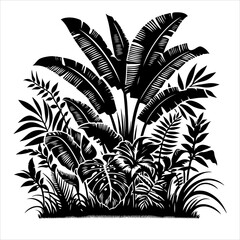 Jungle plant silhouette vector. Flowers and leaves of the jungle. Vector illustration