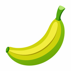 Banana vector illustration (5)