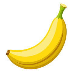 Banana vector illustration (14)