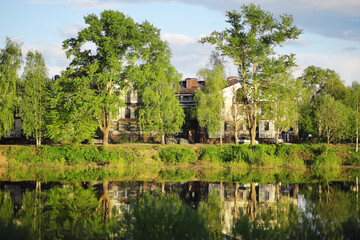 Lively closeup of spring leaves with vibrant backlight from the setting sun