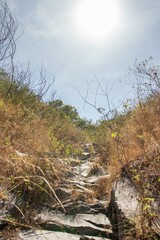 beautiful views in the mountains surrounded by tropical rainforests. a natural beauty that you encounter when climbing mountains in tropical areas