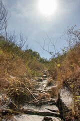 beautiful views in the mountains surrounded by tropical rainforests. a natural beauty that you encounter when climbing mountains in tropical areas
