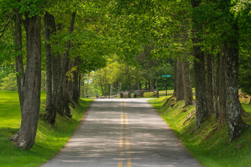 Carnifex Ferry State Park, American Civil War battle site in West Virginia