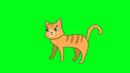 2d animated cartoon yellow cat character is standing smiling and waving its tail in happiness and looking up and forward in green screen chroma key. 4K resolution.