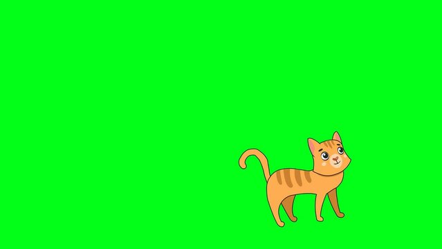 2d animated cartoon character yellow cat is smiling is walking and enters from the left and exits from the right in green screen chroma key. 4K resolution.