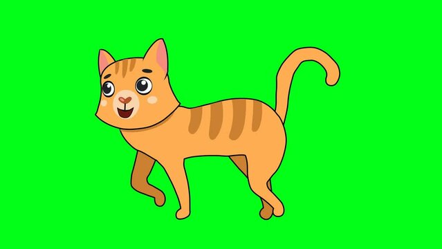 2d animated cartoon cycle loop of a yellow cat walking with a smile on the ground in green screen chroma key. 4K resolution.