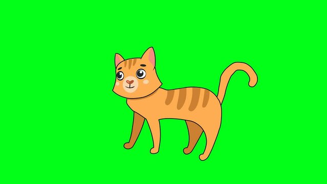 2d animated cartoon yellow cat character is standing smiling and waving its tail in happiness and looking up and forward in green screen chroma key. 4K resolution.