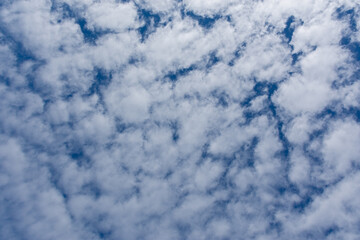 Cirrus clouds in a dark blue sky. Abstract natural background. Beautiful drawings of white clouds....