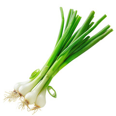 Green onion on transparent background, png	