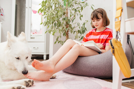 A teenage girl sits on an ottoman in her room and reads a book, next to her lies a dog, a white Swiss shepherd. Reading books as a hobby