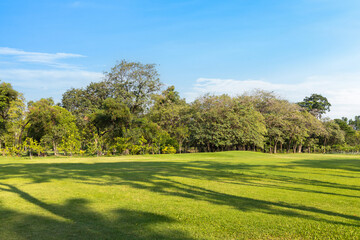 Scenic view of the park with green grass field in city and a cloudy blue sky background. Beautiful green park