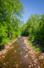 Fototapeta na wymiar North Fork River at Spruce Knob-Seneca Rocks National Recreation Area, Park in Riverton, West Virginia