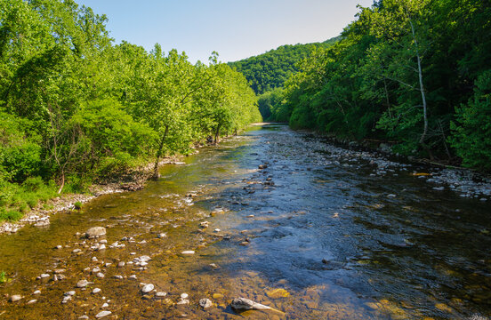 North Fork River at Spruce Knob-Seneca Rocks National Recreation Area, Park in Riverton, West Virginia
