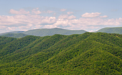 Obraz premium Spruce Knob-Seneca Rocks National Recreation Area, Park in Riverton, West Virginia