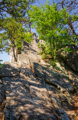 Fototapeta na wymiar Spruce Knob-Seneca Rocks National Recreation Area, Park in Riverton, West Virginia