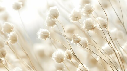 Cotton looking grass macro illustration, soft tender creamy palette