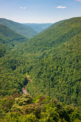 Overlook at Blackwater Falls State Park in West Virginia