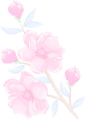Watercolor illustration of flowers