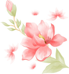 Watercolor illustration of flowers