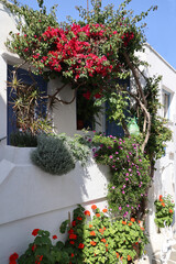 Fototapeta na wymiar Romantic alley with bougainvillea on the Greek island of Naxos - Greece 