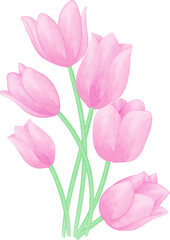 Watercolor illustration of flowers