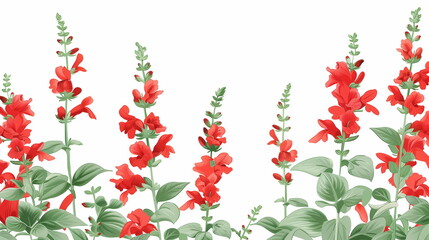 赤いサルビアの花