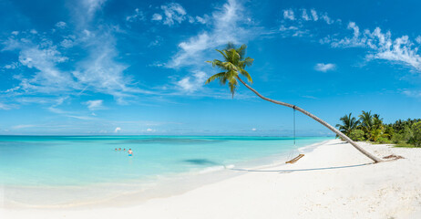 Dreamy beach in Maldives with overhanging palm tree with rope swing