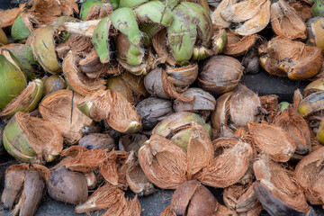 Dried coconut husks for further processing into charcoal