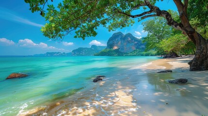 tropical beach in summer, island paradise
