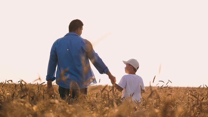 Family son and father holding hands walking together at sunlight wheat field back view. Man parent...