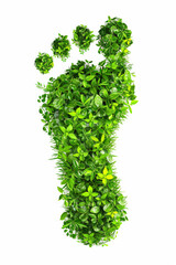 A green plant is growing out of a footprint. The plant is growing out of the footprint in a way that it looks like a tree