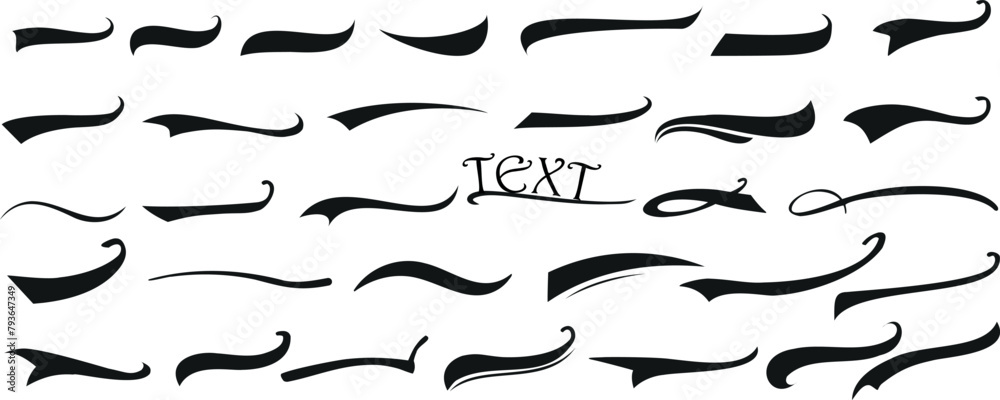 Canvas Prints elegant calligraphic swirls, typography underline design elements on white background. perfect for b