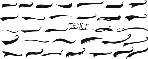 Obraz premium Elegant calligraphic swirls, Typography Underline design elements on white background. Perfect for branding, logos. Clean, vector set, Embellish text, graphic designs