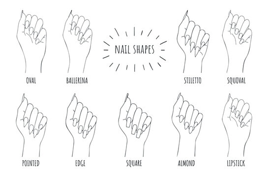 female palms vector set. nail shapes vector outline. female wrist with different nail shapes vector sketch
