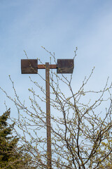 Street lamp and tree branches