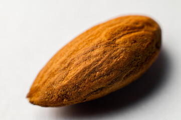 One tonsil on a white background. Almonds close-up, texture visible