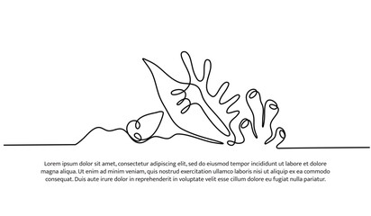 Continuous line design of the beauty of coral reefs and coral snails. Single line decorative elements drawn on a white background. © Bettermind Graphic